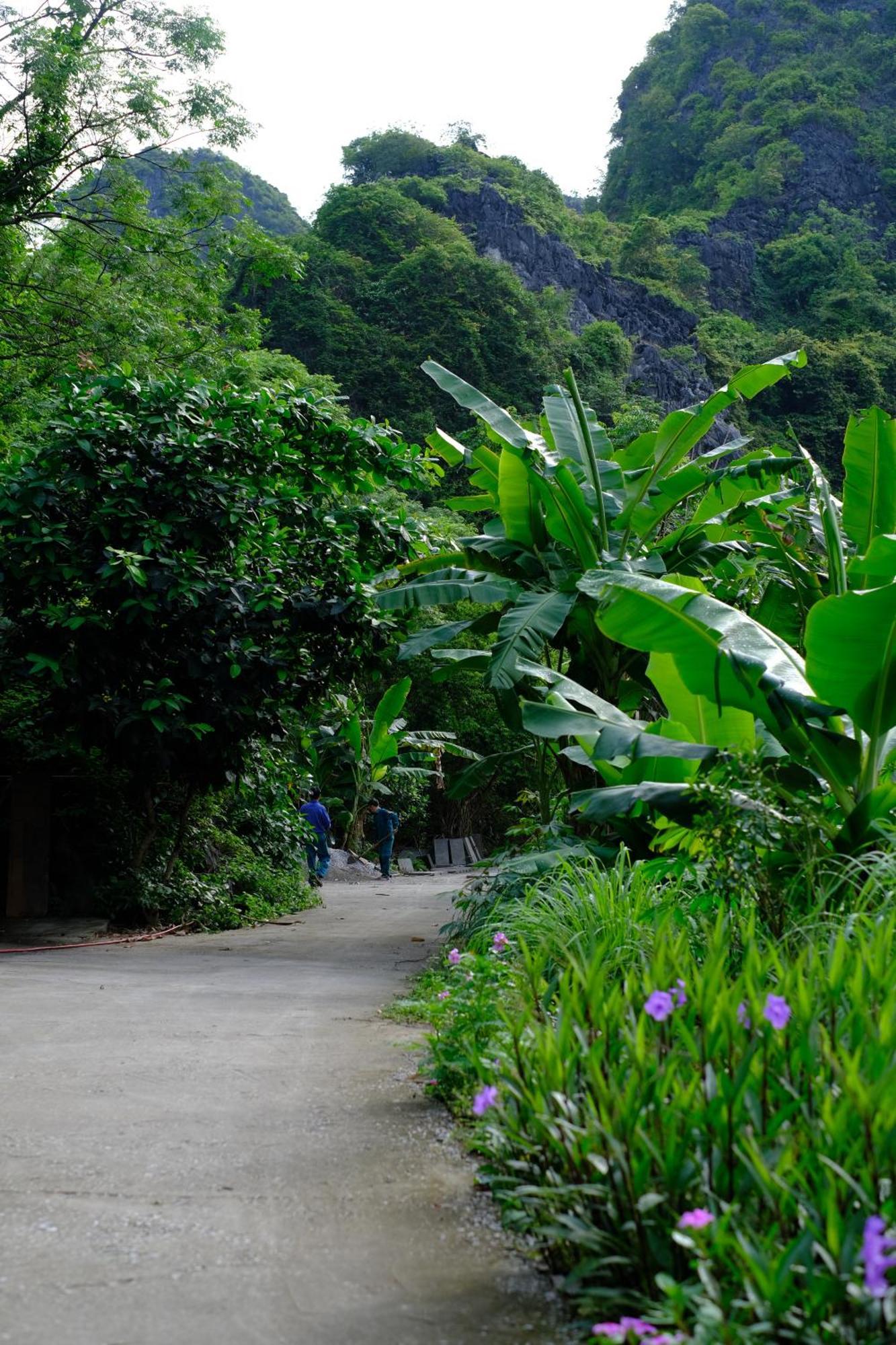 Blue Lagoon Cat Ba Hotel Dong Khe Sau Exterior photo